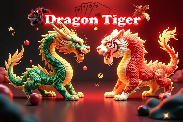 bigdaddy-Dragon Tiger