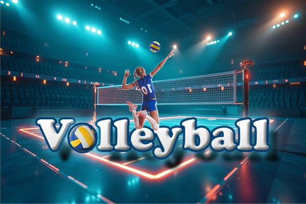 bigdaddy-Volleyball